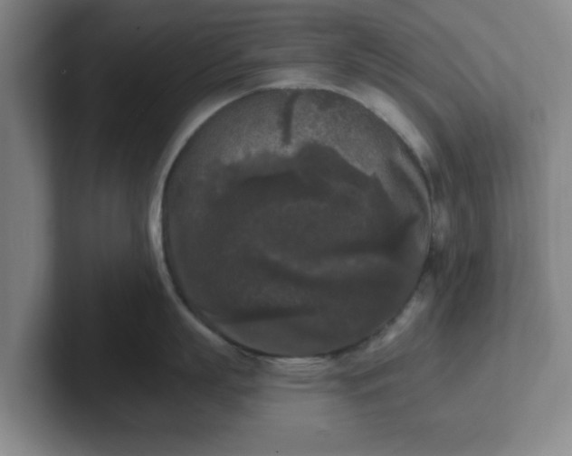 X0000102000863200807251245