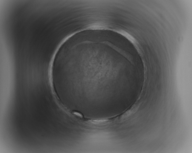 X0000102000864200807251245