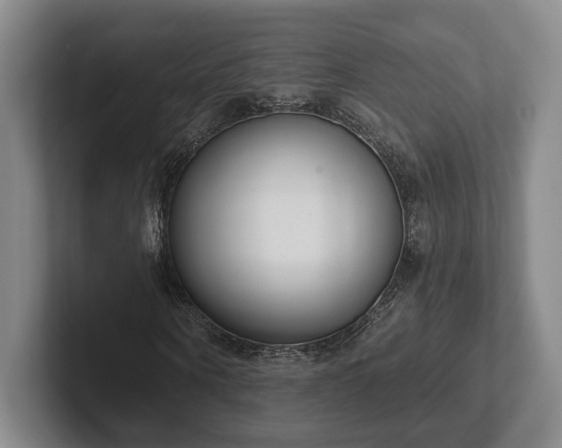 X0000102000866200807251244