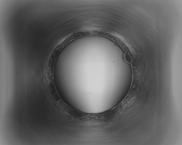 X0000102000871200807251244