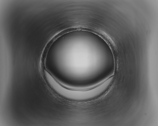 X0000102000876200807251244