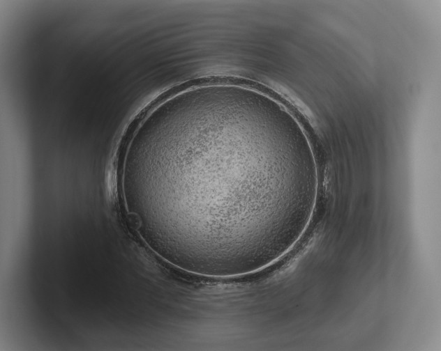 X0000102000877200807251244