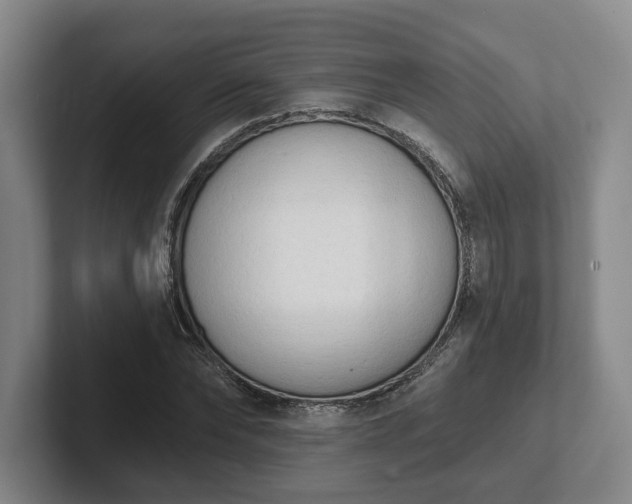 X0000102000878200807251244