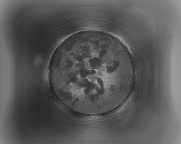 X0000102000879200807251244