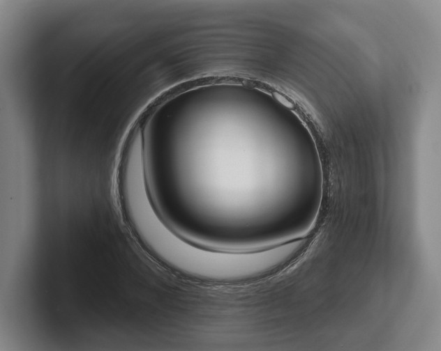 X0000102000880200807251244