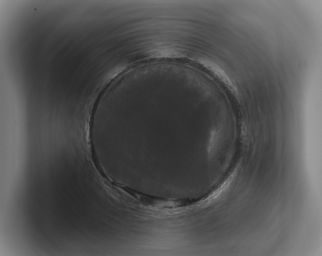 X0000102000881200807251244