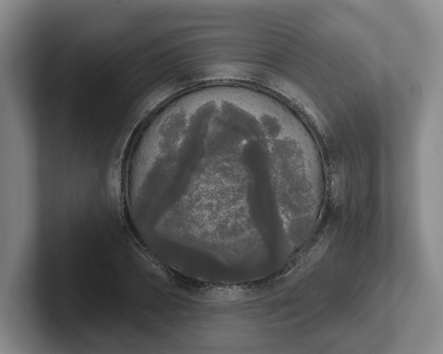 X0000102000882200807251244