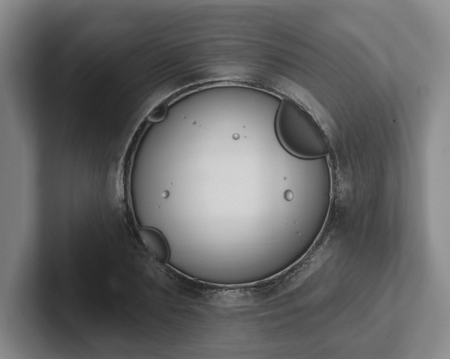 X0000102000883200807251244