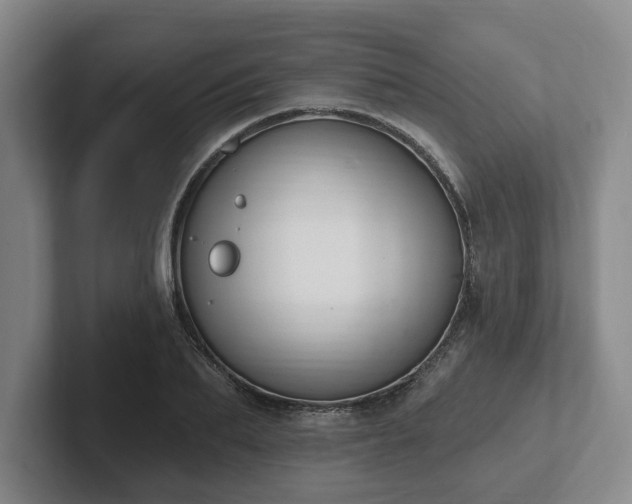 X0000102000887200807251244