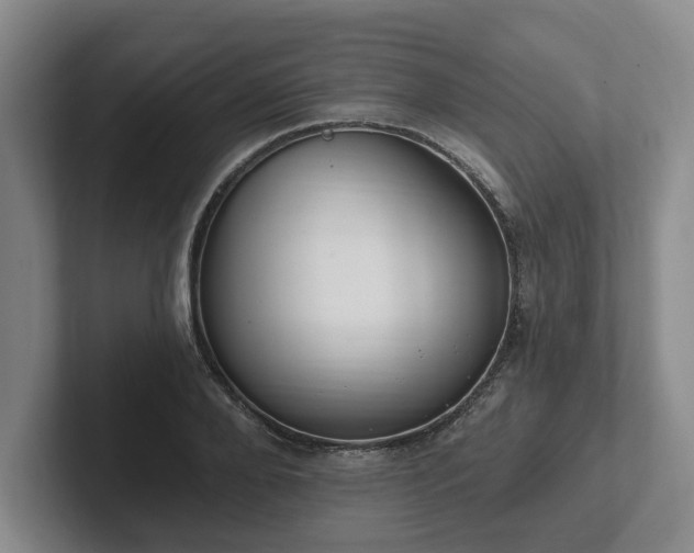 X0000102000888200807251244