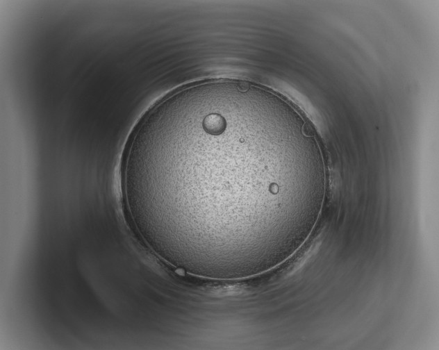 X0000102000891200807251244