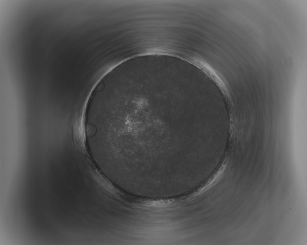 X0000102000892200807251244