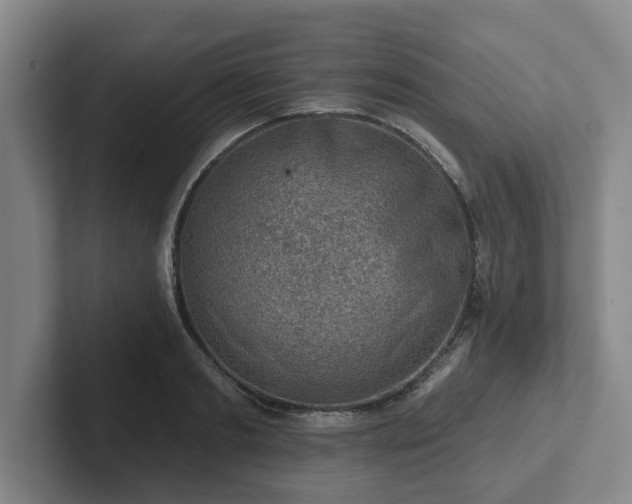 X0000102000893200807251244