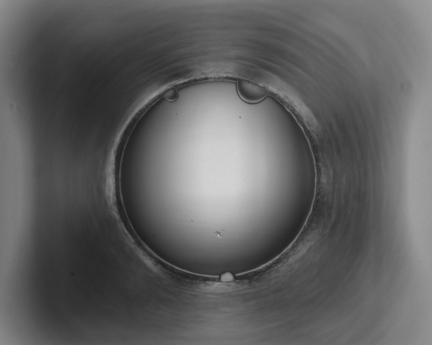 X0000102000894200807251244