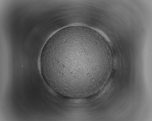 X0000102000895200807251244