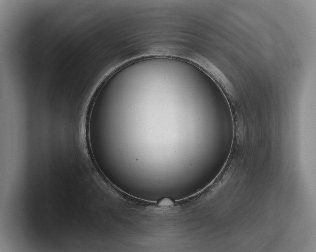 X0000102000896200807251244