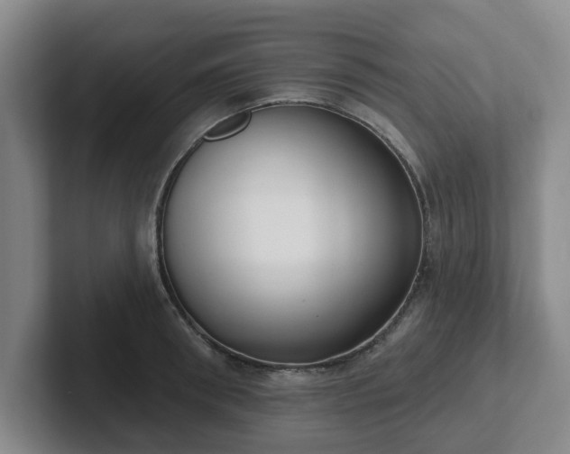 X0000102000898200807251244