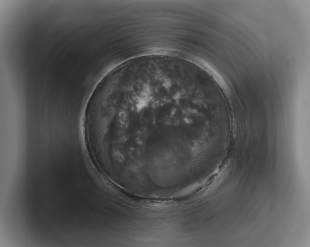 X0000102000899200807251244