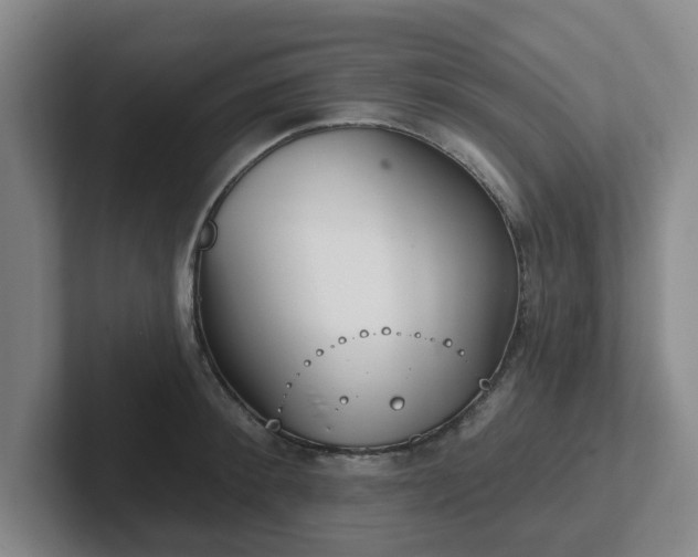 X0000102000900200807251244