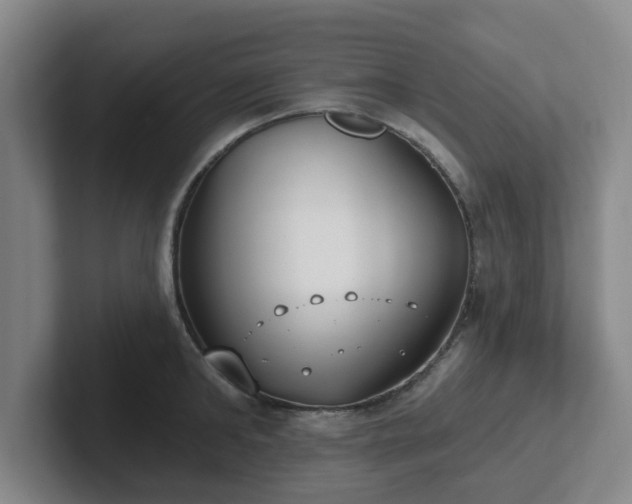 X0000102000902200807251243