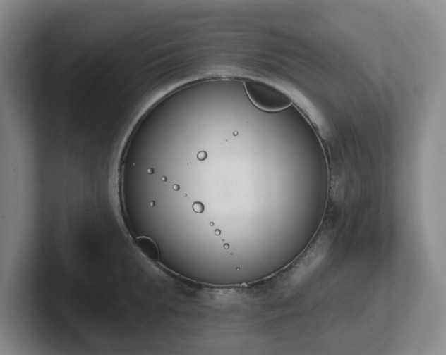 X0000102000903200807251243