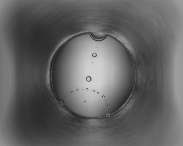 X0000102000904200807251243