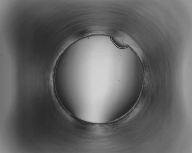 X0000102000906200807251243