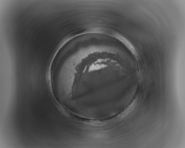 X0000102000907200807251243