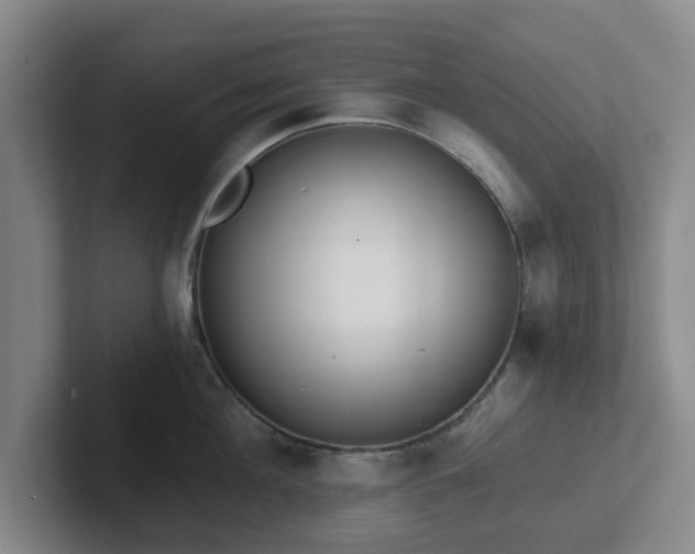 X0000102000908200807251243