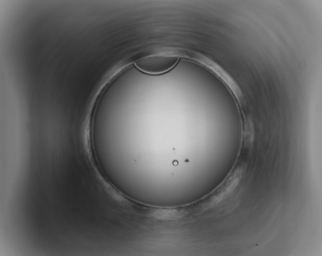 X0000102000909200807251243