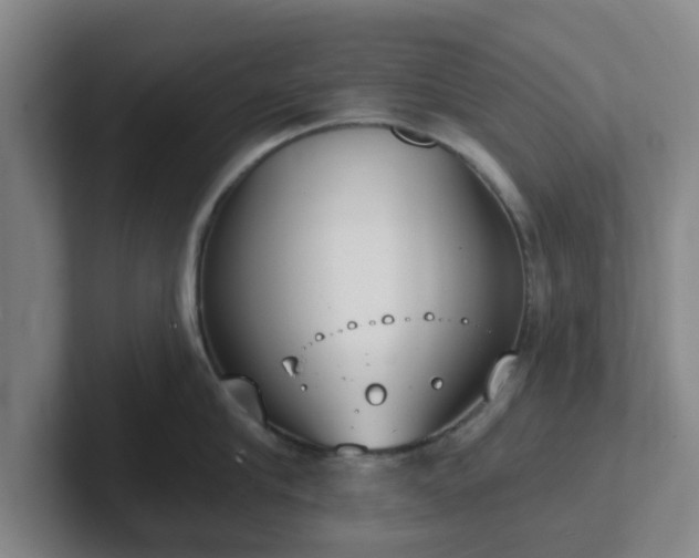 X0000102000910200807251243