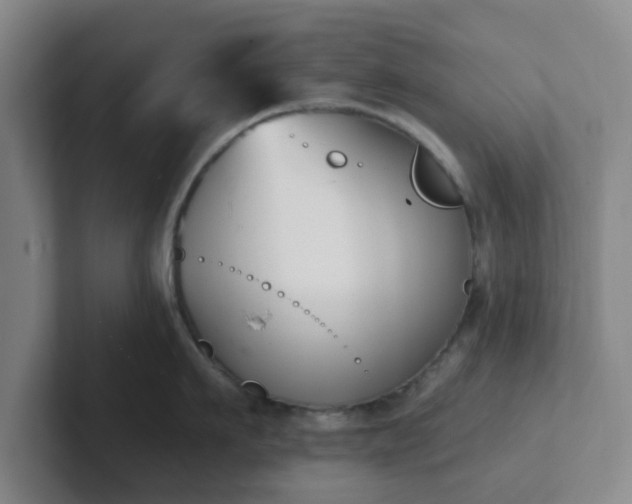 X0000102000911200807251243