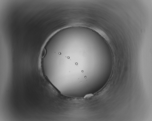 X0000102000912200807251243