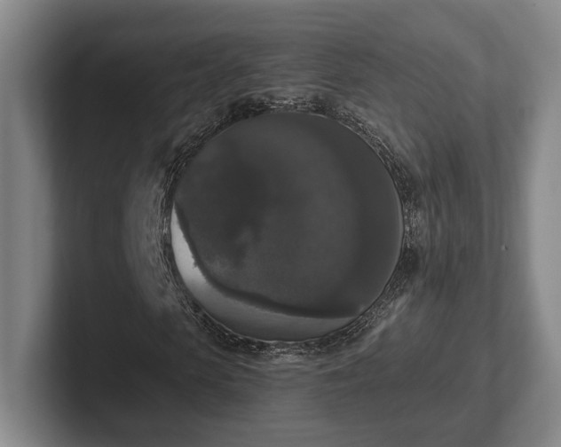 X0000102000913200807251243