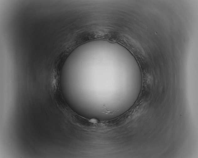 X0000102000914200807251243