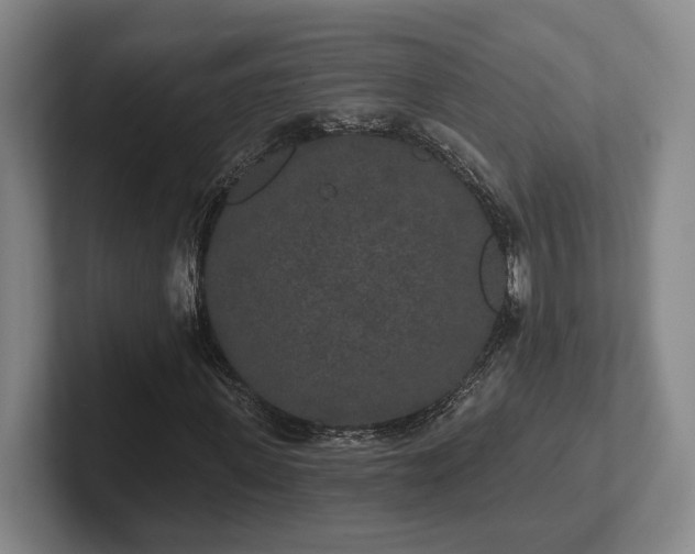 X0000102000915200807251243