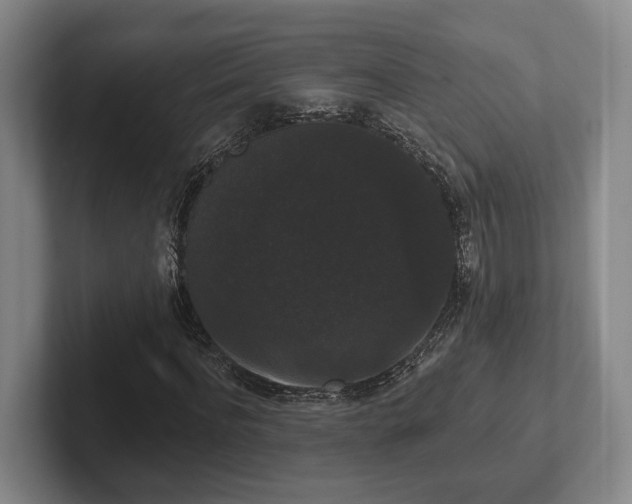 X0000102000916200807251243