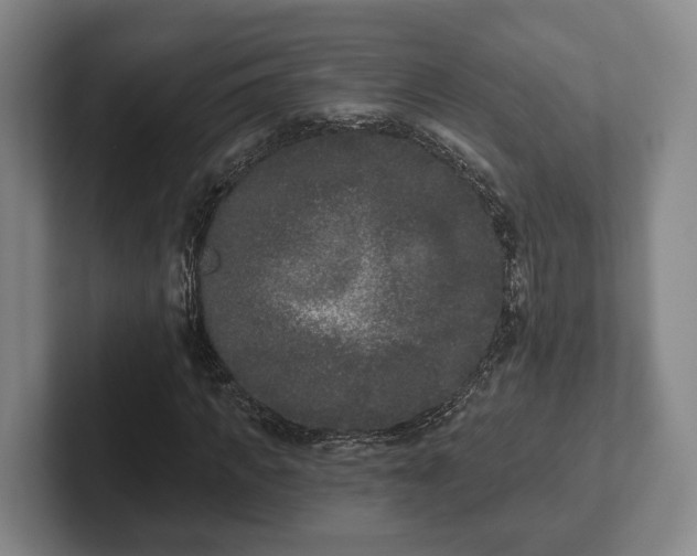 X0000102000917200807251243