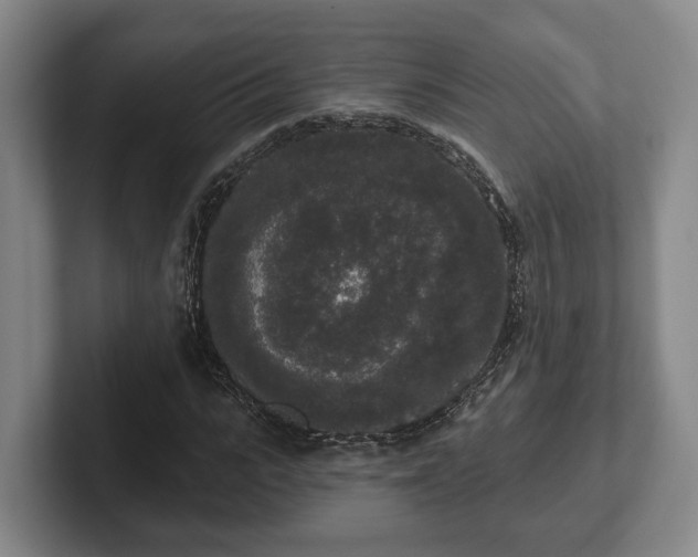 X0000102000919200807251243