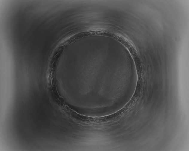 X0000102000920200807251243