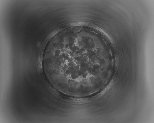 X0000102000921200807251243