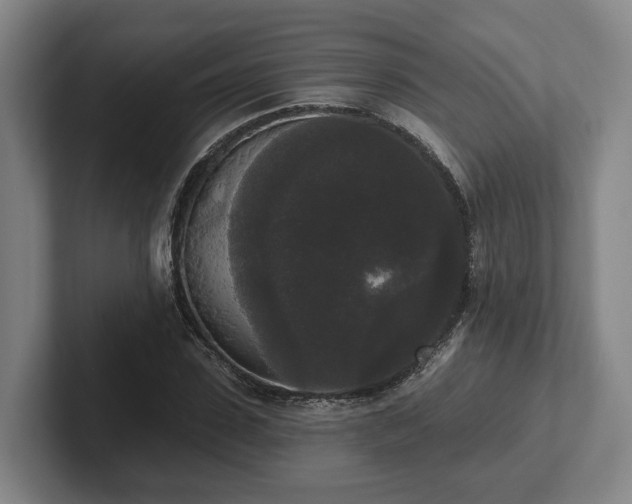 X0000102000923200807251243