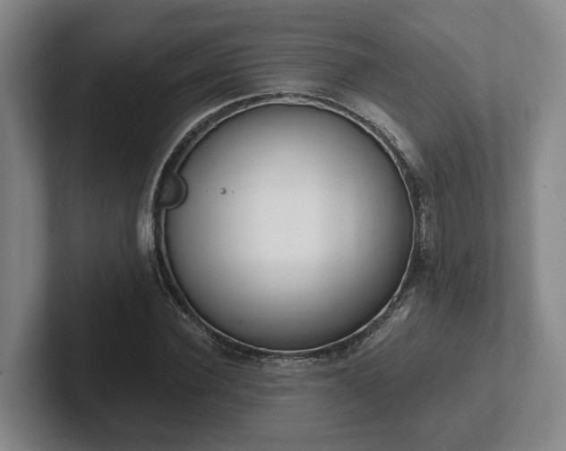 X0000102000924200807251243