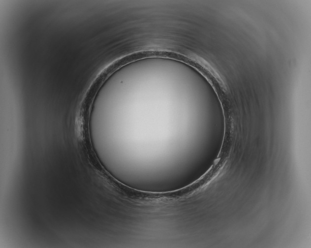 X0000102000926200807251243