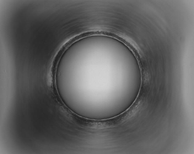 X0000102000927200807251243