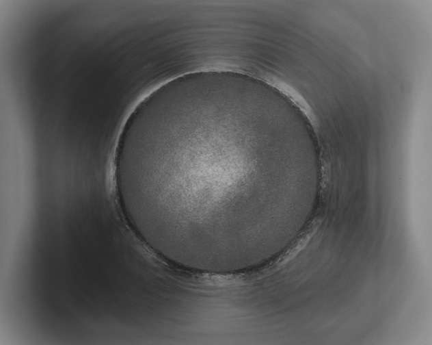 X0000102000928200807251243