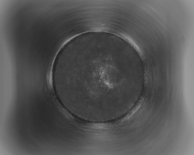 X0000102000932200807251243