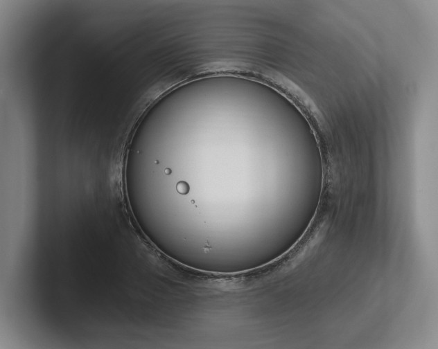 X0000102000937200807251243