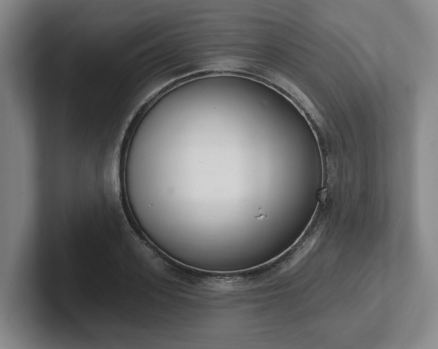 X0000102000939200807251243