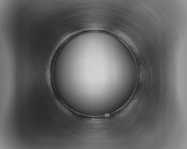 X0000102000942200807251243